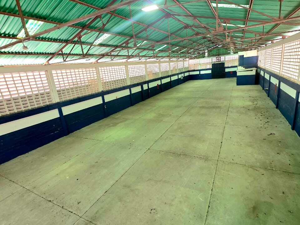 WhatsApp Image 2026-02-10 at 10.43.18 AM