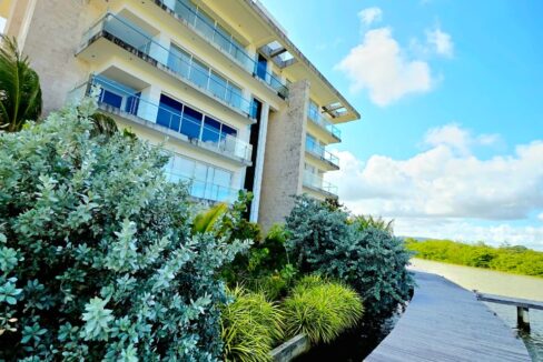 WhatsApp Image 2026-02-12 at 8.47.24 PM